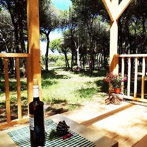 The Pineforest , Chiclana de la Frontera España